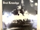 Dead Kennedys Fresh Fruit For Rotting vegetables  Vinyl LP 1980