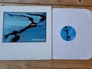 Dolphin Club Out Of The Blue  LP 1986 Electro Indie Pop new age folk