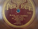 1930s Pre War Sermon Gospel Rev. Jordan Jones Perfect 194 N 78 RPM