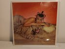 BOW WOW WOW I WANT CANDY  JAPAN. LP. 12 Inch. 45.