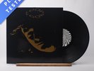 Loop The World In Your Eyes LP Vinyl Record 1991 Reactor LP2 Reactor - VG+/EX