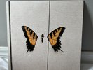 Paramore Brand New Eyes Teal Vinyl