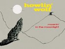 Howlin' Wolf - Moanin In The Moonlight (Limited Edition Vinyl LP) [PRE-ORDER]