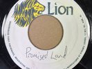 THE MINORS - PROMISED LAND - JAMAICAN LION LABEL BLANK - TOP ROOTS RARITY -CLIP
