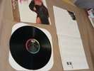 Tina Turner Break Every Rule Japanese Vinyl Obi Insert Lp Typical Male 80s Album