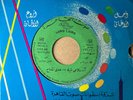 Hoda : Salamy Shello - Rare Arabic 45 Record NM+