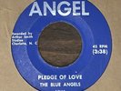 THE BLUE ANGELS 'Pledge Of Love/Money' 45 RARE NC Garage 1965 Angel