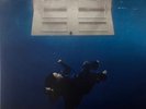 Billie Eilish - Hit Me Hard And Soft - 1 LP - LE - Sea Blue Vinyl -New/Sealed