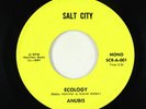 70s Soul Jazz/Funk 45 - Anubis - Ecology - Salt City - rare
