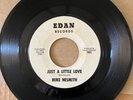 MIKE NESMITH 2nd Solo 45rpm Recording 65  NM vinylEDAN PRE-MONKEES