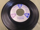 Starrjamm Synth RARE DISCO Boogie 45 Funk Private RAP 1981 San Diego / Hear