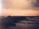 Aaron West & The Roaring Twenties Bittersweet Black Vinyl 7