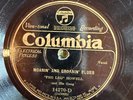 Columbia 14270D Peg Leg Howell HOBO BLUES amazing   BLUES  78 rpm
