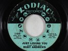 Northern Soul 45 - Ruby Andrews - Just Loving You - Zodiac