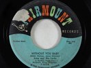 Northern Soul 45 - Irma & the Larks - Without You Baby - Fairmount