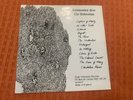 Rudimentary Peni The Underclass Rare Original UK 7