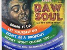 James Brown “Sings RAW Soul” LP/KING Records 1016 Stereo (VG+) Shrinkwrap