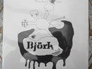 Bjork / Björk – Greatest Hits  [2x 12