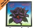Thin Lizzy Black Rose (A Rock Legend) 12