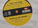 Switch Sampler - DJ Zinc Wile Out / Yeah Yeah Yeahs - 12