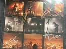The Amazons – Come the Fire, Come the Evening (Live ) Blood Records Signed