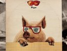 IVAN GRAZIANI - PIGRO LP EX-/VG+/EX 1978 ITALY 1st PRESS ZPLN 34028