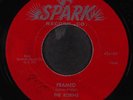 ROBINS : framed / loop de loop mambo SPARK 7