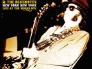 Neil Young & The Bluenotes - New York. New Yo (Vinyl 2LP - 2023 - UK - Original)