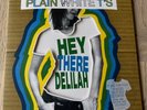 Plain White T'S-Hey There Delilah. Ltd White Vinyl 7 Inch Single/Gatefold. Mint.