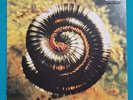 Nine Inch Nails Closer Part 1 And 2 Double LP Set Vinyl 1994 Remixes