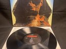 Kiss – Hot In The Shade - EX 2014 Press 180 Gram