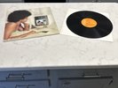 THE MAIN INGREDIENT - AFRODISIAC - RCA 4834 -  LP 12