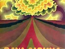 Savoy Brown: Raw Sienna (Vinyl,  1970 UK, LP, VG) - SKL 5043