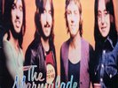 LP The Marmalade Reflections Of My Life And Other Great Songs NEAR MINT Decca