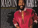 Marvin Gaye Every Great Motown Hit of Marvin Gaye (Vinyl) 12
