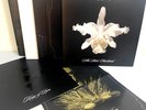 Kings of Leon - The Early Vinyl 7xLP Album Box Set Limited Edition Numbered 180g