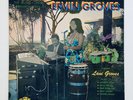 Ervin Groves - Composer In Paradise LP (1970) Rare Hawaiian Record.