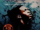 Busta Rhymes Turn it Up  The Very Best of NEAR MINT Rhino Records 2xVinyl LP