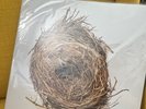 A Ghost Is Born by Wilco (Record, 2005) Rock Vinyl