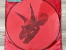 ALICE IN CHAINS - The Devil Put Dinosaurs Here - 2 LP - 180g-PICTURE DISC vinyl