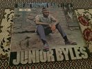 Junior Byles , Beat Down Babylon , Trojan Label.