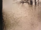 BON IVER - For Emma Forever Ago - Vinyl (LP)