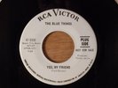 The Blue Things Yes, My Friend/Somebody Help Me Promo Garage 1967 RCA