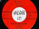 Raw Country Bop Honky Tonk 45 LOU MILLER & MISSOURI No I Don't / Now POSSUM hear