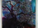 George Winston - Piano Solos LP - 1973 - Takoma - R-9016 - SEALED