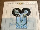 The Chameleons - One Flesh - Rare French Promo 7”