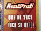 Reel Big Fish - Why Do They Rock So Hard? Vinyl LP (Test Press) x/24