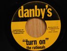 The Rationals Michigan Rock Garage 45 Turn On bw Irrational on Danbys