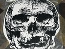 RARE Orchid Skull Sessions 12” LP Screamo Pg99 Jeromes Dream Neil Perry Saetia