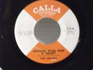 The Orlons,Calla 113,